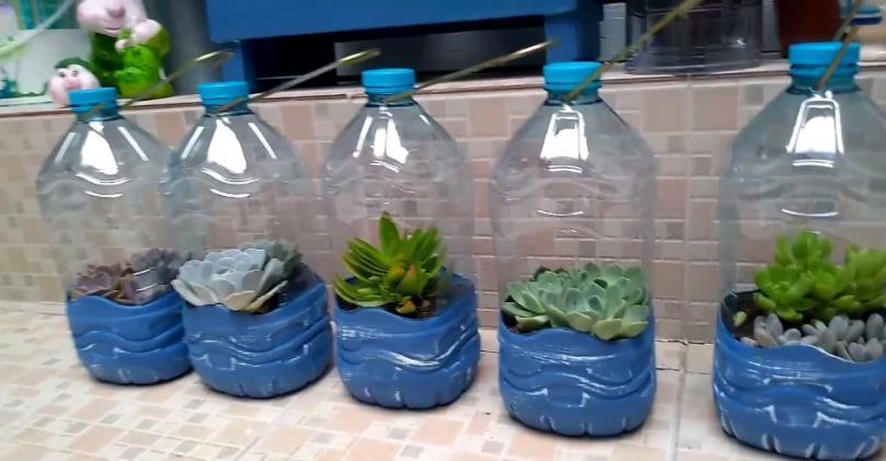 钻孔|软趴趴的塑料瓶,养花有4大经典用法,早晓得早受益