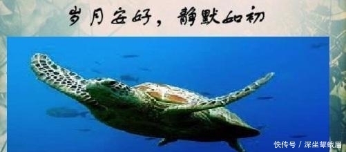 前任|四海龙王为啥姓敖? 这与他们的前任有关