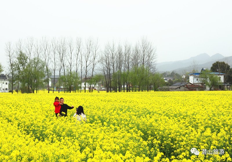 春游江淮请你来｜油菜花田里遇见非遗古陶