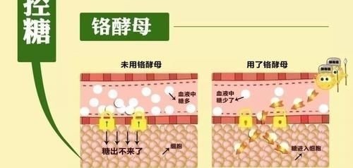 苦瓜|血糖也有“克星”,常吃三物,胰岛素都“甘拜下风”