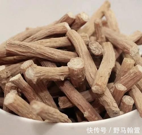 张景岳|中药漫谈|牛膝,是温性还是寒性,是补正还是祛邪,详细解析