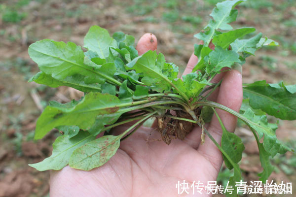 骨质|50岁后,骨质渐渐流失,吃哪些食物能预防疏松?医生列出了清单