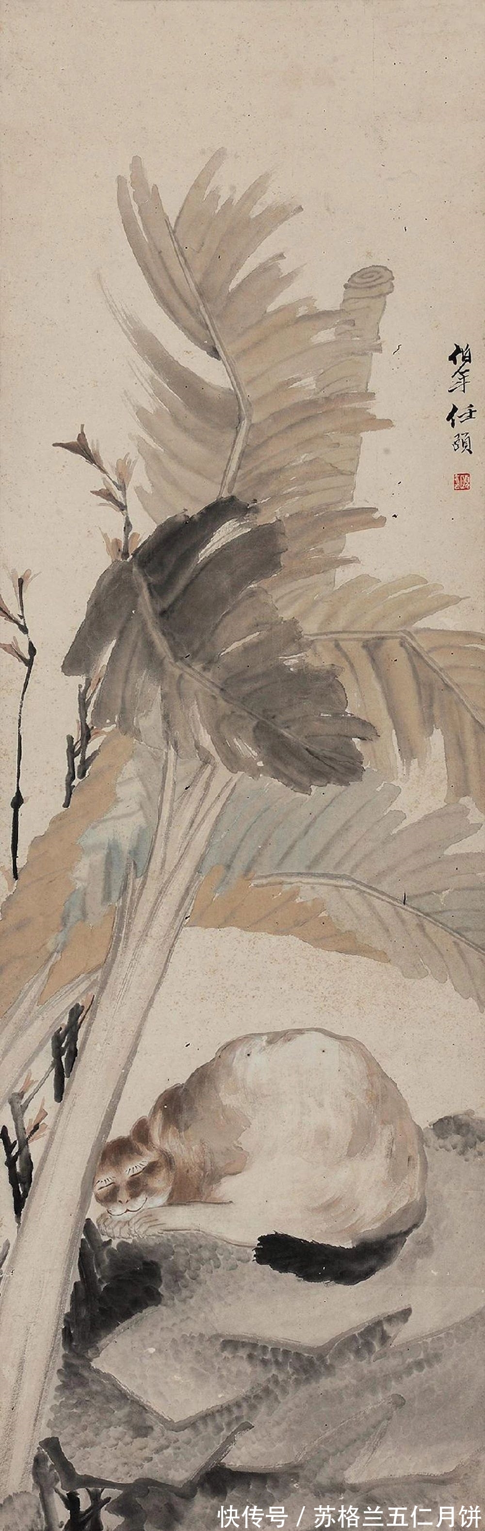 任伯年|「津门网」任伯年家的猫不一般,各个肥得流油估计伙食不错萌萌的