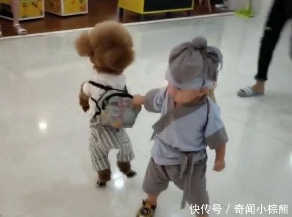 宝宝|宝妈带两个“宝宝”逛街,众人围观,走近细看后,乐得哈哈笑