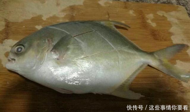 媳妇做清蒸鲳鱼，不放食盐和料酒，原汁原味，鱼肉鲜嫩不腥也不柴