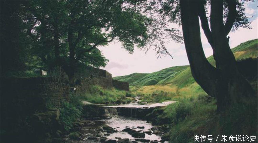 春梦@白居易这首诗看似明如白话,千百年来却争议不断,无人能解释清楚