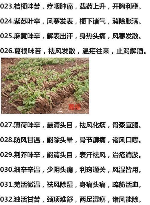 功效|300种中药药性口诀、功效一览表,值得学习,建议收藏加分享