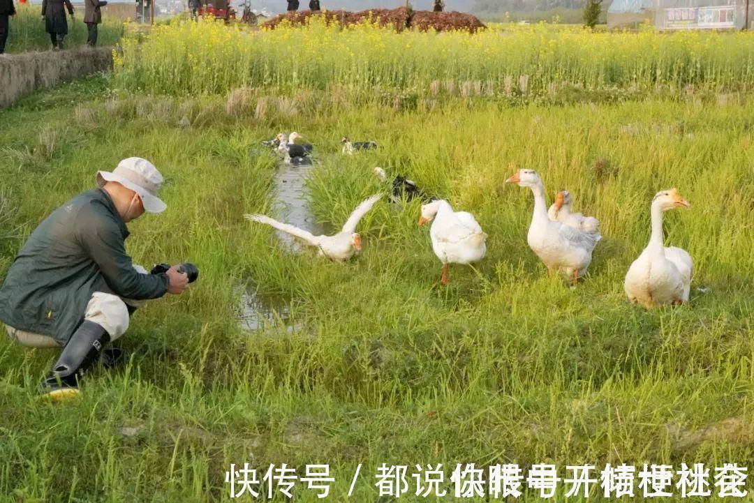 美食|央视《味道》在昌宁寻找原味美食，精彩镜头大集锦上菜咯！