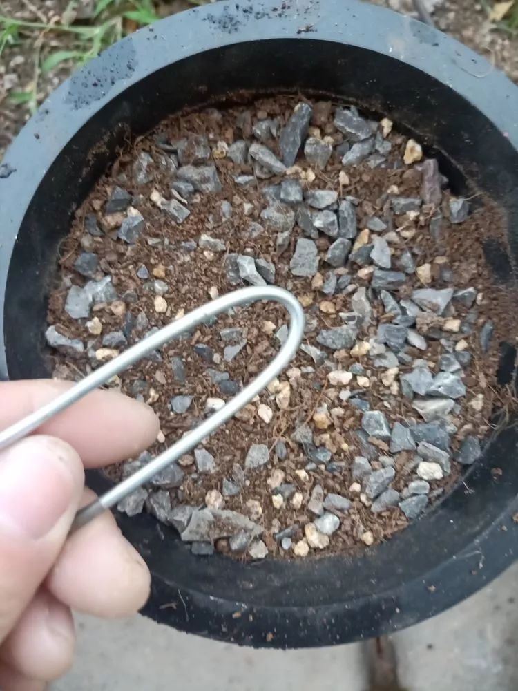 养多肉一年来的点点滴滴,一直在路上,一直惊喜不断!