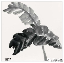 教程@图文教程——芭蕉画法