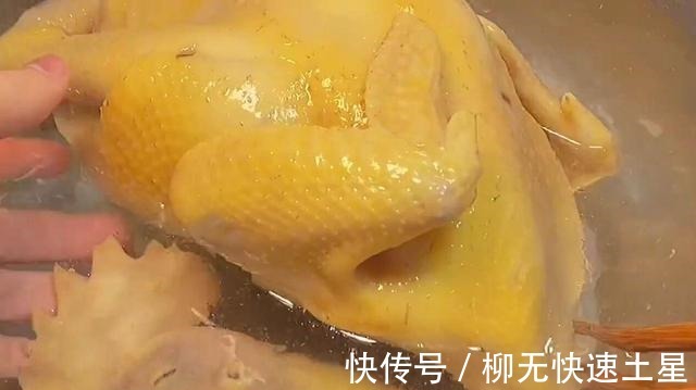 厨师长分享正宗白切鸡做法,步骤详细,皮爽柔滑,咬一口满嘴香!