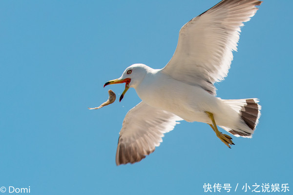 清凉夏日，拥抱星辰大海，西霞口的三天两夜之旅