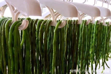 农村|豇豆别放冰箱保存了,农村大娘教我1个土方法,放一年也不怕坏