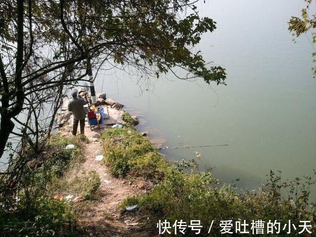 鳊鱼|百里寻鱼“焉知非福”老钓鱼人30年经验之谈,寻鱼不再难