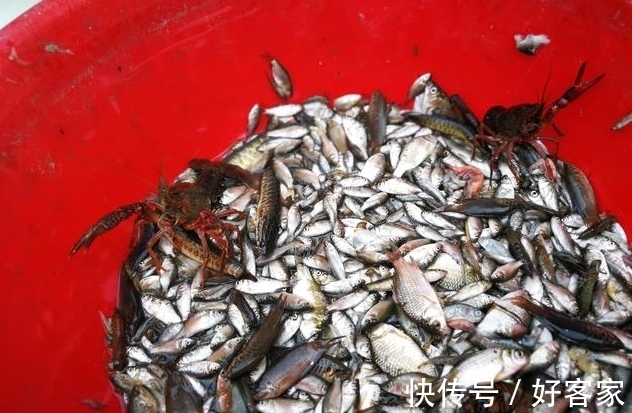 小夫妻|小夫妻顶烈日卖鱼不容易,很多人见到车上的设备后却放弃买鱼!