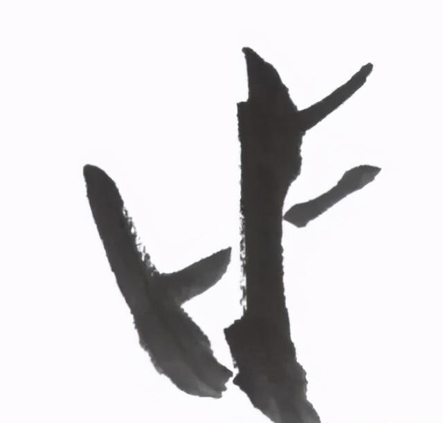  形态|紫、红牡丹花头写意画法与形态参考