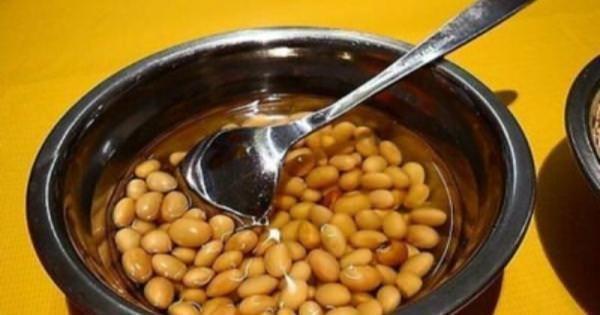 黄豆|绿萝的最爱,家家都有,2周喂一点,叶子油绿翠亮,新叶巴掌大