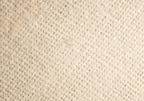 90的人都在陪螨虫睡觉螨虫最怕3种东西，好好利用，螨虫跑光光