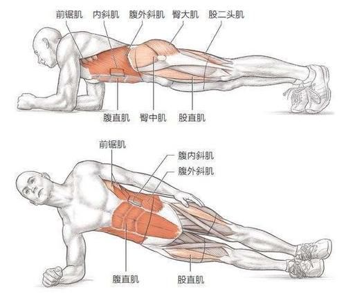 腰腹部粗壮 不一定是脂肪堆积 你需要更加关注腹横肌 快资讯
