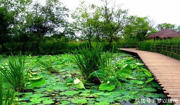 山东新建一公园，比蓬莱阁面积大3倍，建成后将是城市的新地标