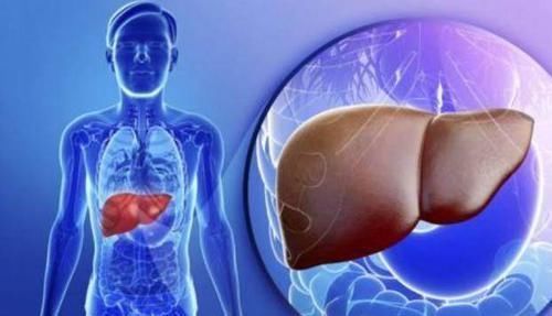 养肝就是养命,5种食物坚持吃,修复你的肝细胞,让身体健康