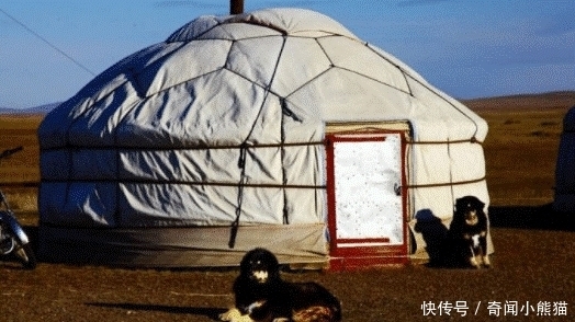 客人|男游客在蒙古包留宿时, 为什么主人在地上放红线? 看完涨知识