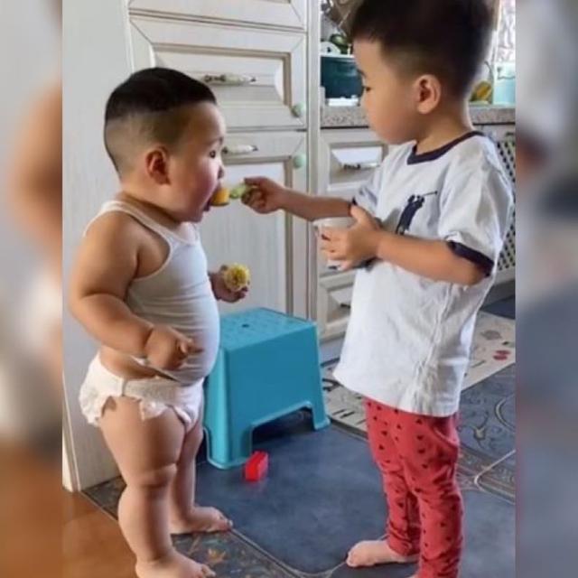 二宝|哥哥耐心地给弟弟“喂饭”火了,网友留下弟弟被哥哥喂胖的证据