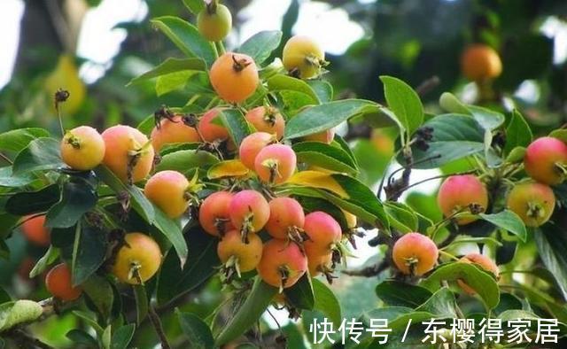 食物|女性推荐常吃3种食物,排毒养颜、延缓衰老,有益健康