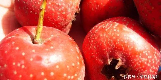 柿子|这些水果煮熟，成了通血管、止咳嗽、防便秘的良药！