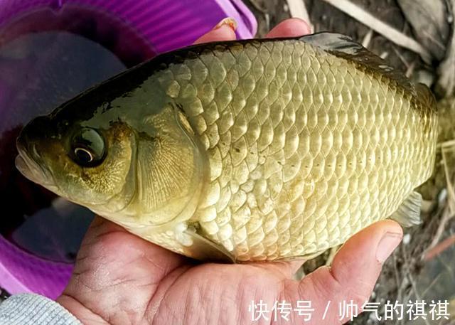 钓法不当招来“横祸”,钓鱼人打他都是轻的