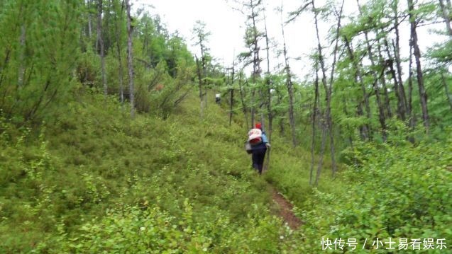  杀猪|林区往事——林场的杀猪菜