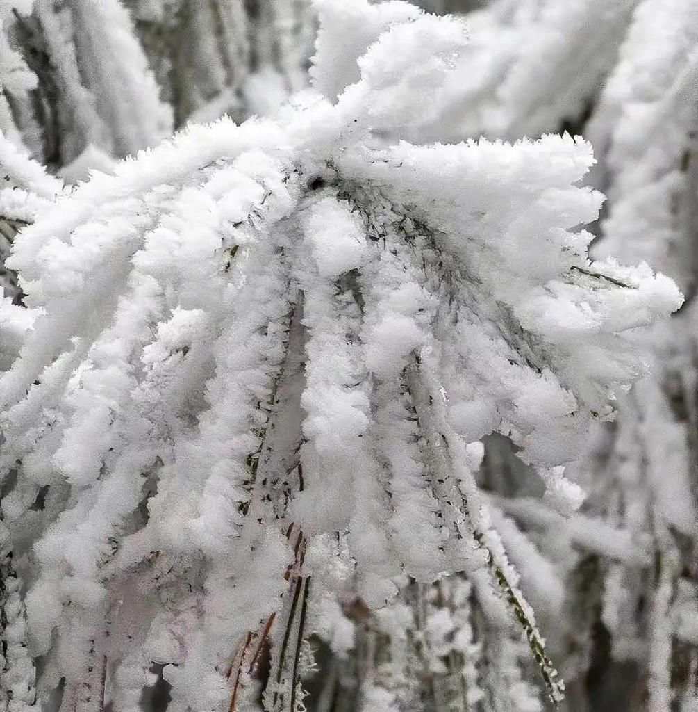 2021巫山第一场雪，美不胜收！