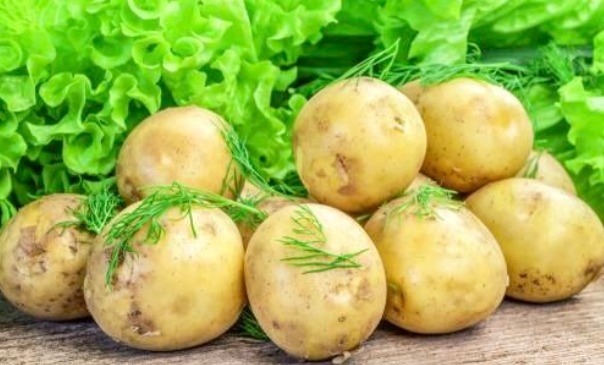 润秋燥|立秋后，土豆和此物一起食用，对身体十分有益，却还很多人不清楚