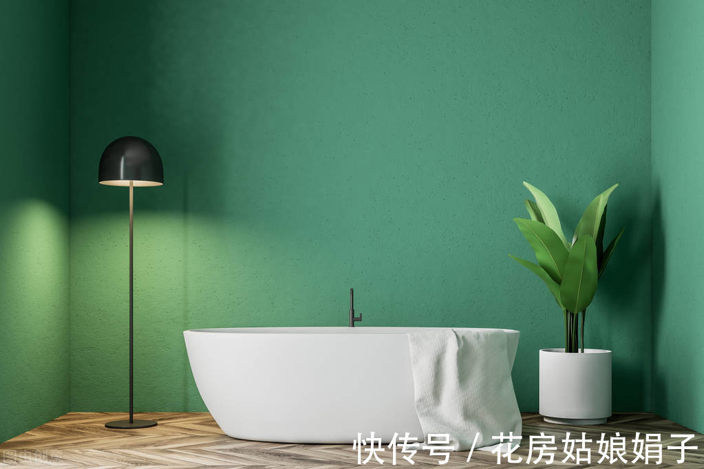 绿植|天热了,卫生间异味遮不住?养上一盆它,异味去无踪,为你解忧