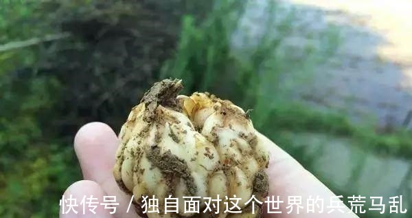 蜂王浆|女人刚过40老太快 医生建议 多吃这6种碱性食物, 补充雌激素！