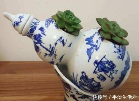 这些破烂不要扔,做成“小花盆”,个性又漂亮,比买的强“百倍”!