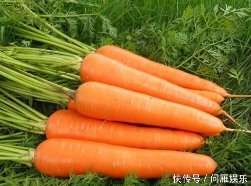 硫酸多糖|想长寿全靠吃,4种食物不能少,排毒养颜,早吃早受益