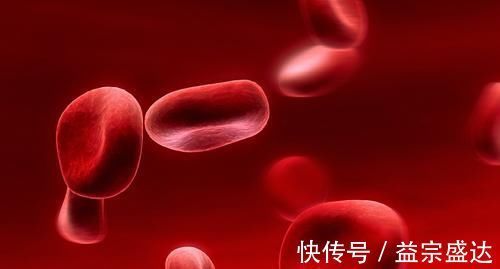 食物|血脂长期偏高?6种食物平时要多吃,帮你疏通血管,悄悄降血脂