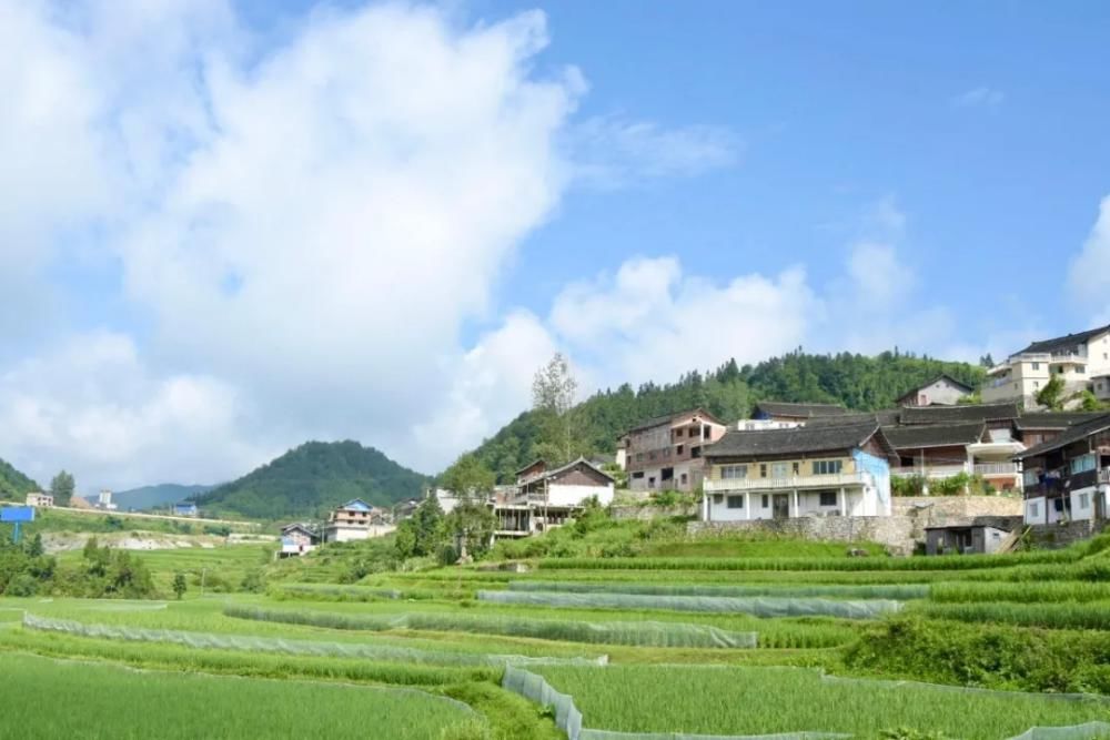  苗家|4天3夜，体验蜡染古法造纸，聆听苗家古韵，舌尖解读出浓郁的苗家古韵