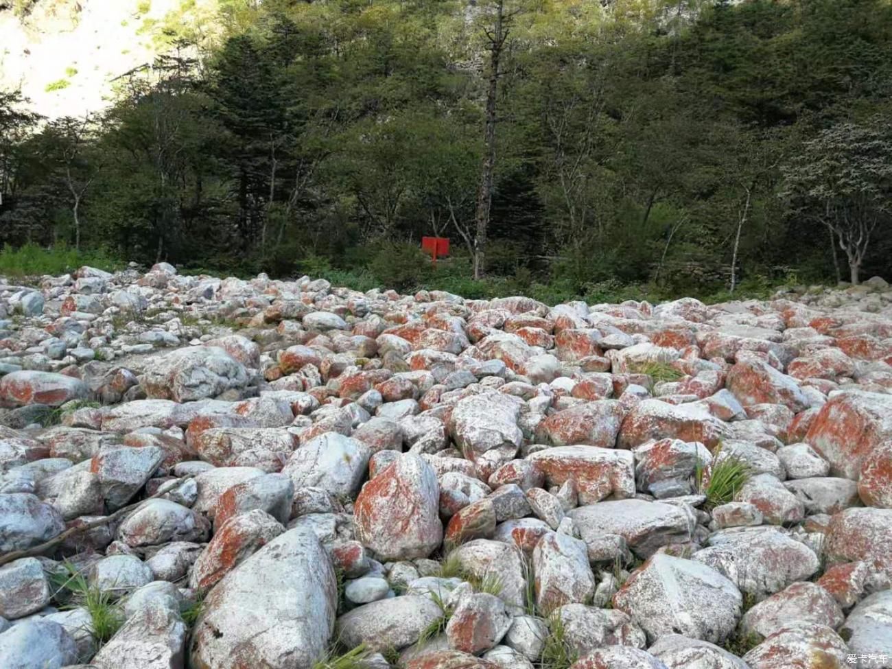 中年|木格措风景区