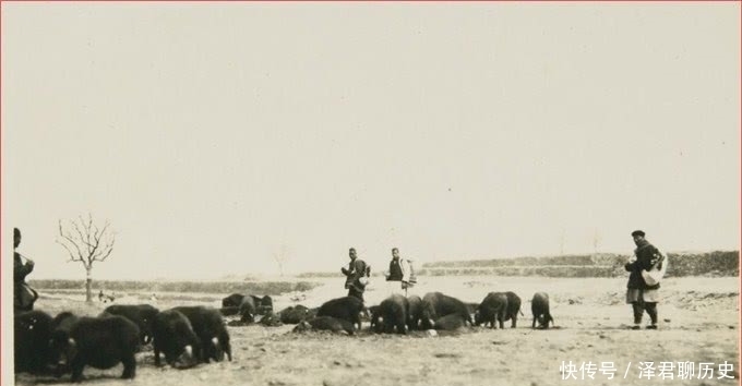 地方|1930年代的满州，闯关东的山东人在此扎根，建起庞大院落