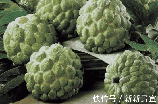 莲雾|常吃以下几种水果,能清热解毒、安神助眠,效果显著