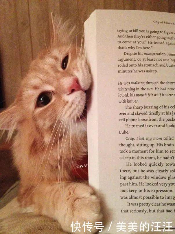 看什么书看书,难道我还没有书好看吗