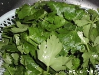 叶子|此物全身都是宝，尤其是叶子，泡水喝，血管不堵塞，睡眠质量高