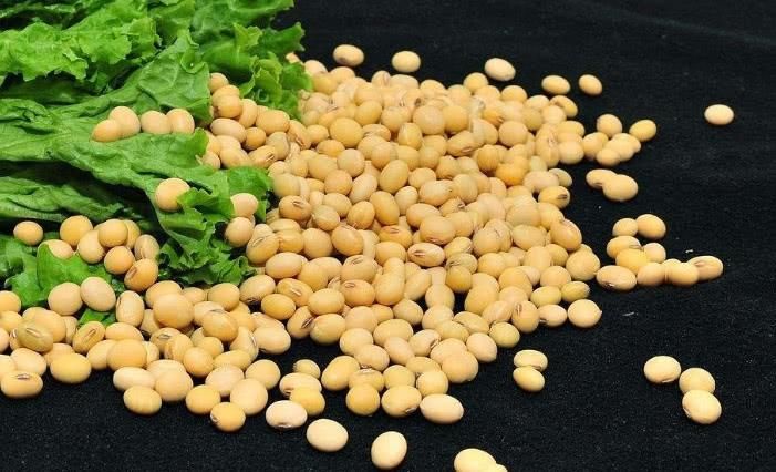 经常熬夜的人，多吃3种食物，减少熬夜危害！