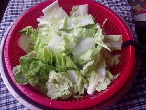  粉条|天冷了，白菜和它一起炖，营养极高，喷香下饭，一盘下肚全身暖