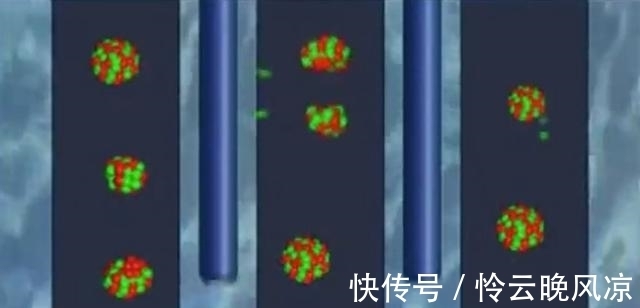 房子|深度:核电站周围的房子能买吗?别被键盘侠忽悠了