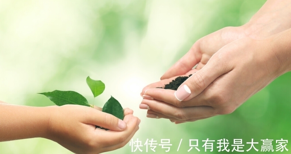 小妙招|那些你常听到的生活小妙招,到底是真还是假?