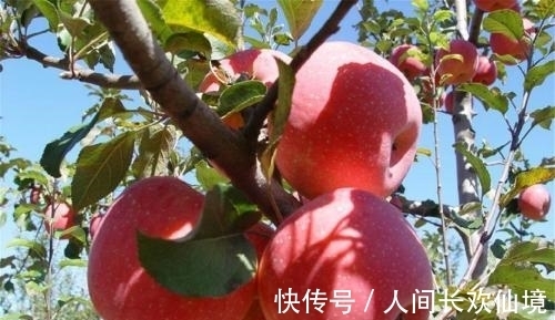 前列腺|餐桌上的前列腺炎“特效药”，男人不妨多吃些，炎症或会自动消失