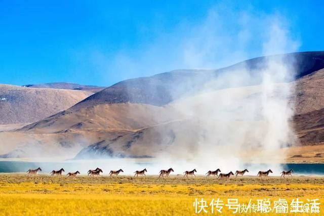 半壁江山|这里不是外星球奇景，而是占了中国半壁江山的西部美景